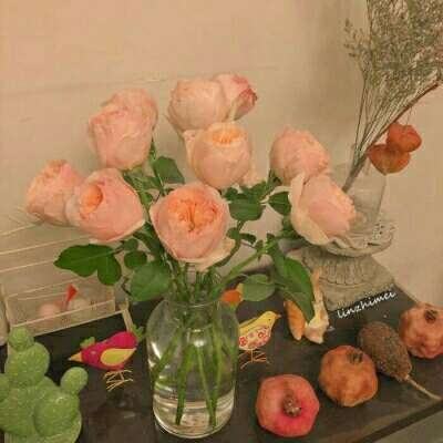 365体育亚洲官方入口app下载截图